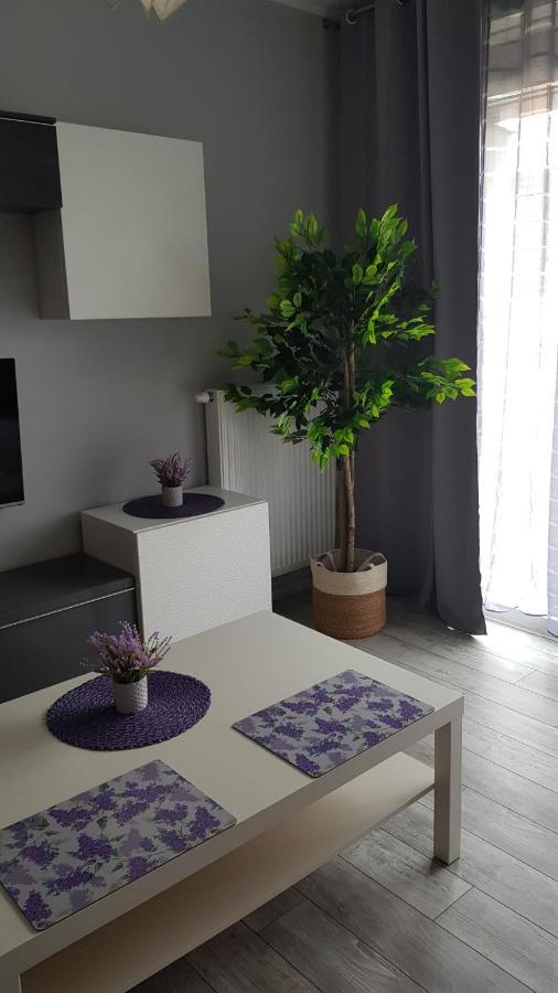 Boznicza Old Town Lux Apartment, Self Check-In 24H, Free Parking Poznań Exterior foto